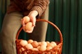 Many eggs in basket. Young female farmer holding two brown organic eggs on modern green background. Poultry farm. Eco