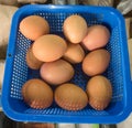 Many eggs in a blue basket. Eggs are good for health.