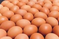 Many eggs lie together on each other, brown eggs, a lot of chicken eggs.