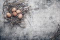 Chicken eggs in nest on stone