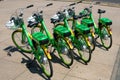 Many electric bicycles of public bike sharing company LimeBike Royalty Free Stock Photo