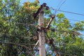 Many electrical cable - wires attached to the electric mast on pole. Royalty Free Stock Photo