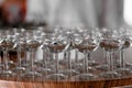 Many elegant empty glasses of wine or champagne on the wooden table in wedding day. Set of blank empty glasses displayed Royalty Free Stock Photo