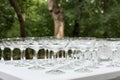 Many empty clean glasses for guests at the buffet festive wedding table Royalty Free Stock Photo