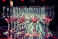 Many empty empty wine glasses Royalty Free Stock Photo