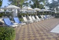 Many empty pool lounge chairs Royalty Free Stock Photo