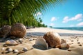 Many empty shells on the beach, close-up view against the background of the sea. Royalty Free Stock Photo