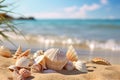 Many empty shells on the beach, close-up view against the background of the sea. Royalty Free Stock Photo