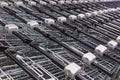 Many empty shopping carts in a row. Royalty Free Stock Photo