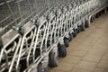 Many empty shopping carts in a row Royalty Free Stock Photo