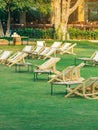 Many empty white deck chairs with tables in lawn is surrounded by shady green grass. Comfortable on outdoor patio chairs in garden Royalty Free Stock Photo