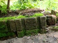 Many excrement of earthworm and green moss on old bricks