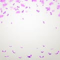 Many Falling Purple Confetti And Ribbon . Vector