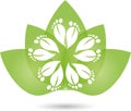 Many feet and leaves, foot care logo and massage logo