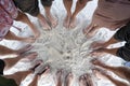 Many female and male legs are standing together on sand near the sea, summer holidays concept. Top view Royalty Free Stock Photo