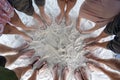 Many female and male legs are standing together on sand near the sea, summer holidays concept. Top view Royalty Free Stock Photo