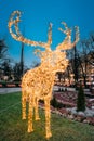 Many Festive Lights Lamps In Shape Deer In Evening Night Festive