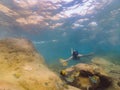 Many fish, anemonsand sea creatures, plants and corals under water near the seabed with sand and stones in blue and Royalty Free Stock Photo