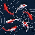 Many fishes swim in Zen garden pond top view. Red Koi floating in black water. Decorative Japanese carps in peaceful