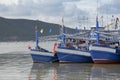 Many fishing boats on the ocean. Royalty Free Stock Photo