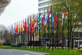 Many different flags street Europe members Union building countries nation road way grass flowers green color type The Hague