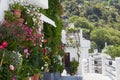 Many flowers in flower pots on a cozy narrow street of white houses of the old town of Capileira Spain Royalty Free Stock Photo