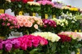 Showcase rose bouquets. Interior colors with vases. The flower business. Flowers for mother`s Day Royalty Free Stock Photo