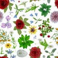 many flowers seamless pattern wrap around tile floral design loopable background 3D illustration Royalty Free Stock Photo