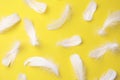 Many fluffy bird feathers on yellow background, flat lay Royalty Free Stock Photo