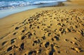 Many footprints on the beach