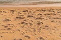 Many footprints on the beach background.