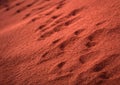 Many footprints on desert sand texture or beach sand background Royalty Free Stock Photo