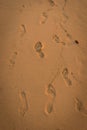 Many footprints on the sand