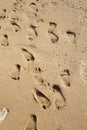 Many footprints on sand on the beach