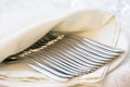 Many forks Royalty Free Stock Photo