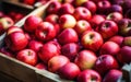 Many fresh apple in wooden boxes. Farmers market Royalty Free Stock Photo