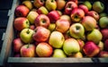 Many fresh apple in wooden boxes. Farmers market Royalty Free Stock Photo