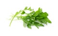 Many fresh arugula leaves isolated on white Royalty Free Stock Photo