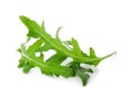 Many fresh arugula leaves isolated on white Royalty Free Stock Photo