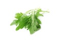 Many fresh arugula leaves on white background Royalty Free Stock Photo