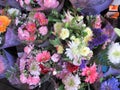 Many fresh attractive colorful flower bouquets on display