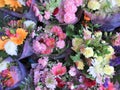 Many fresh attractive colorful flower bouquets at the flower shop Royalty Free Stock Photo