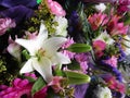 Many fresh attractive colorful flower bouquets at the flower shop