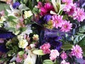 Many fresh attractive colorful flower bouquets at the flower shop Royalty Free Stock Photo