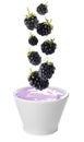 Many fresh blackberries falling into bowl of yogurt on white background Royalty Free Stock Photo