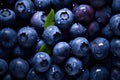 Many fresh blueberries - Generative AI