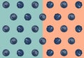 Many fresh blueberries on blue and pale coral background. Pattern design