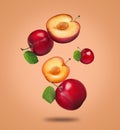 Many fresh cherry plums falling on orange background Royalty Free Stock Photo