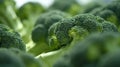 many fresh green head of broccoli on a dark background, close-up, top view. Generative AI Royalty Free Stock Photo