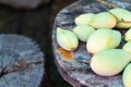 Many fresh green mango. Royalty Free Stock Photo
